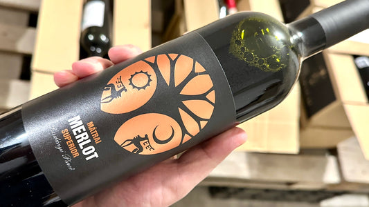 Ludányi - Mátrai Merlot Superior 2017