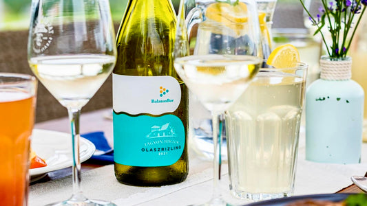 Tagyon Birtok - Tagyoni Olaszrizling "Balatonbor" 2024